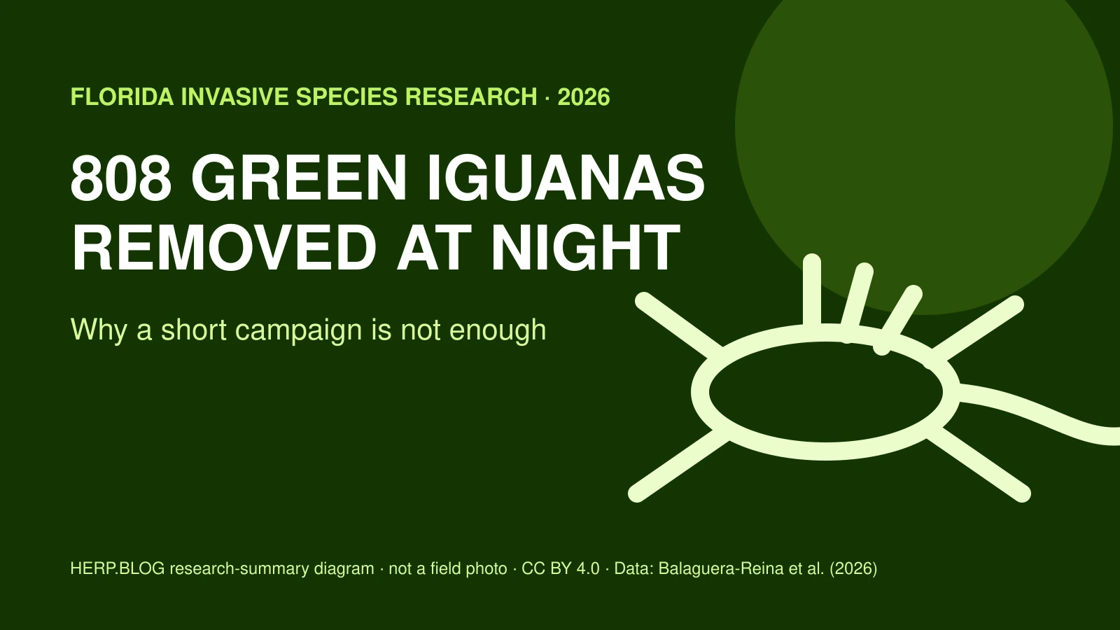 It Didn&rsquo;t End with the Removal of 808 Individuals &mdash; Pitfalls in Florida Green Iguana Management featured image