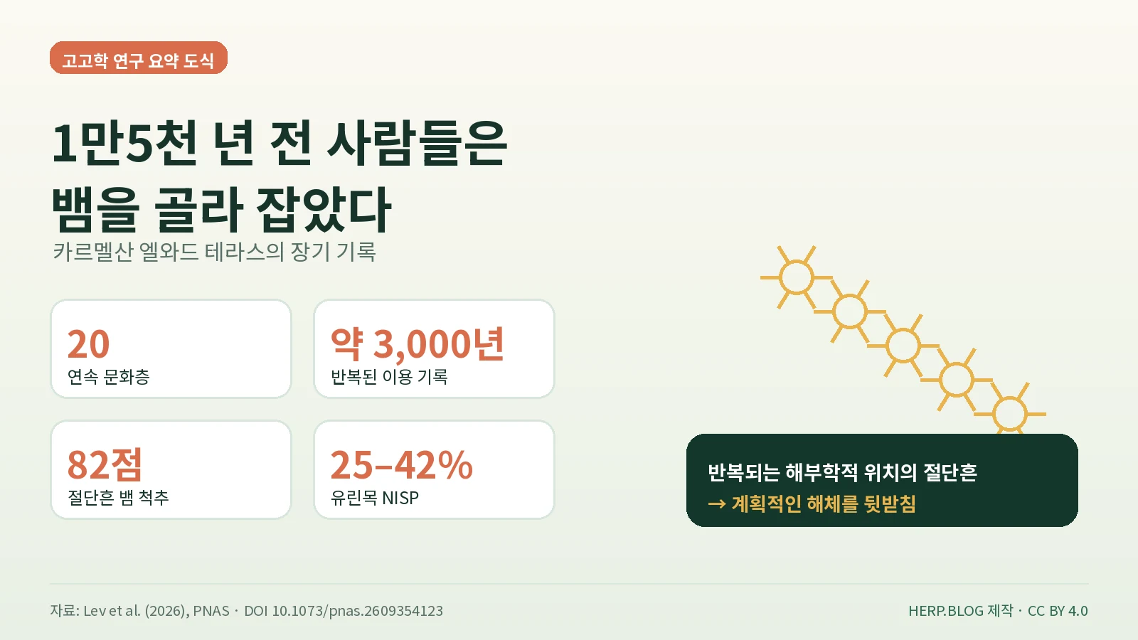 카르멜산 엘와드 테라스 20개 문화층과 3천 년 파충류 이용 기록을 요약한 연구 도식