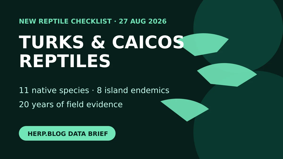 Re-counting Reptiles Across 200 Islands &mdash; First Comprehensive Checklist of 11 Species in Turks and Caicos featured image