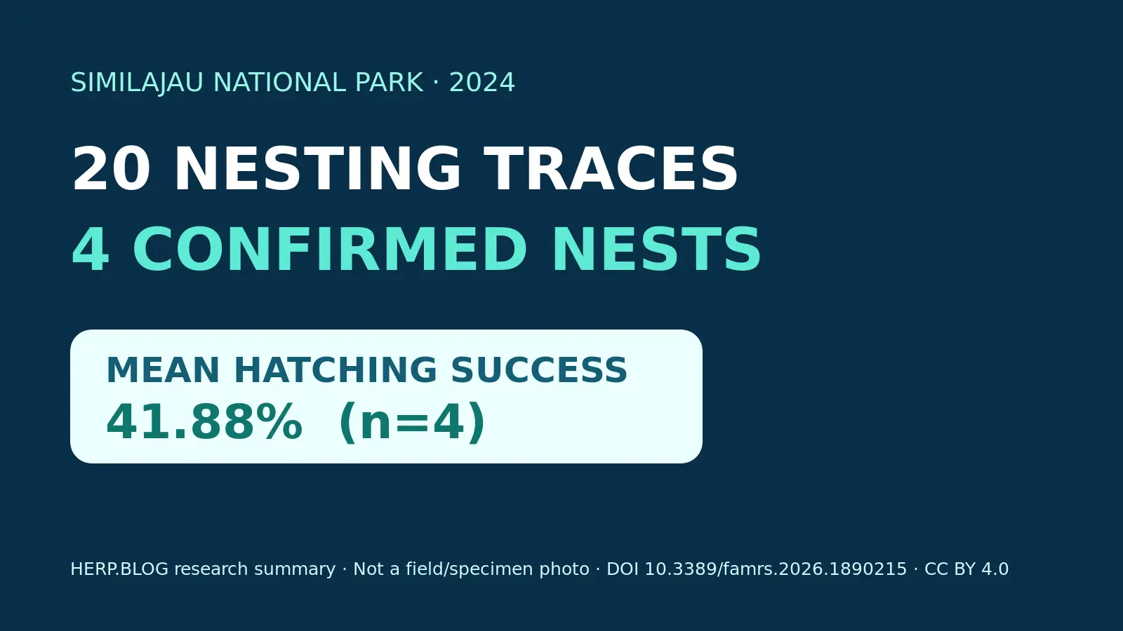 20 nesting traces, 4 confirmed &mdash; A small green sea turtle nesting site in Sarawak featured image